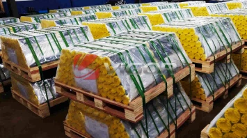 a04d75abf713d684ba76b508c135c3a