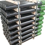 Conjunto de cachorros